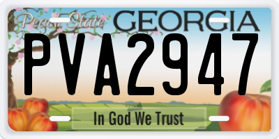 GA license plate PVA2947