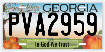 GA license plate PVA2959