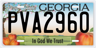 GA license plate PVA2960