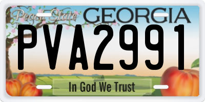 GA license plate PVA2991