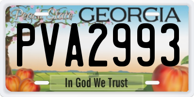 GA license plate PVA2993