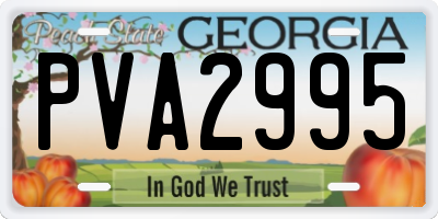 GA license plate PVA2995