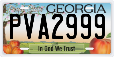 GA license plate PVA2999