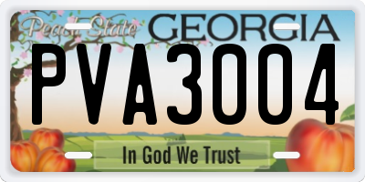 GA license plate PVA3004