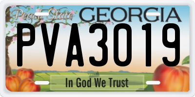 GA license plate PVA3019