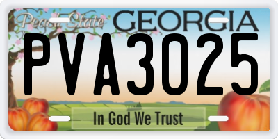 GA license plate PVA3025