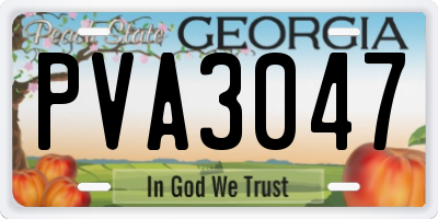 GA license plate PVA3047