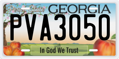 GA license plate PVA3050