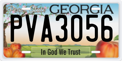 GA license plate PVA3056