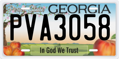 GA license plate PVA3058