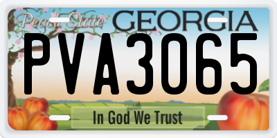 GA license plate PVA3065