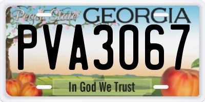 GA license plate PVA3067