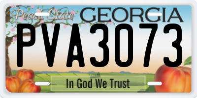 GA license plate PVA3073