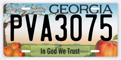 GA license plate PVA3075
