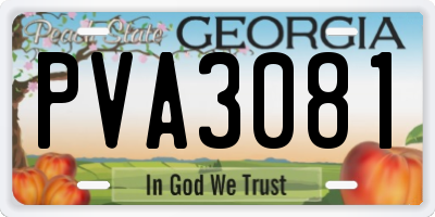 GA license plate PVA3081