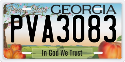 GA license plate PVA3083