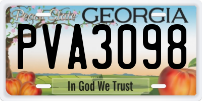 GA license plate PVA3098
