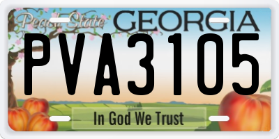 GA license plate PVA3105