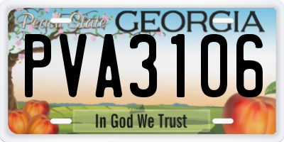 GA license plate PVA3106