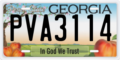 GA license plate PVA3114