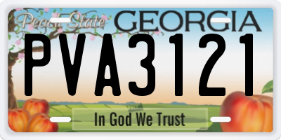 GA license plate PVA3121