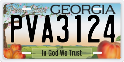 GA license plate PVA3124