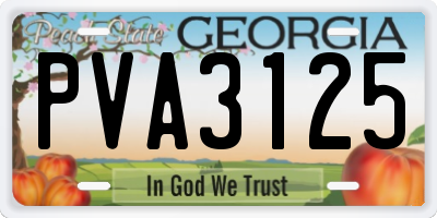 GA license plate PVA3125