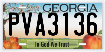GA license plate PVA3136