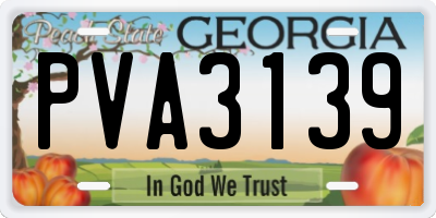 GA license plate PVA3139