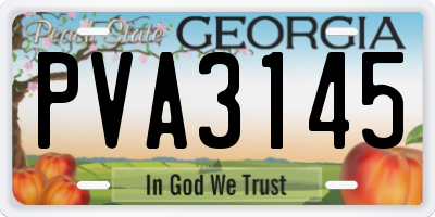 GA license plate PVA3145