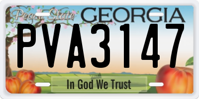 GA license plate PVA3147