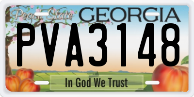 GA license plate PVA3148