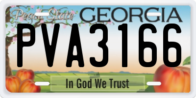 GA license plate PVA3166