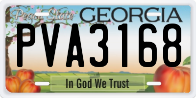 GA license plate PVA3168