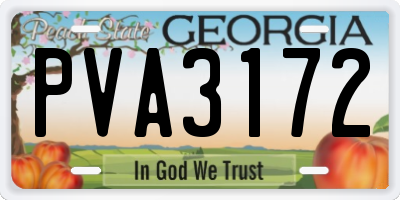 GA license plate PVA3172