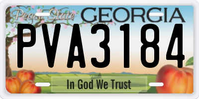 GA license plate PVA3184