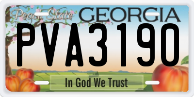 GA license plate PVA3190