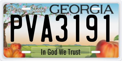 GA license plate PVA3191