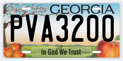 GA license plate PVA3200
