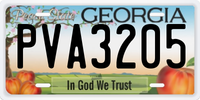GA license plate PVA3205