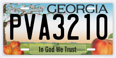 GA license plate PVA3210