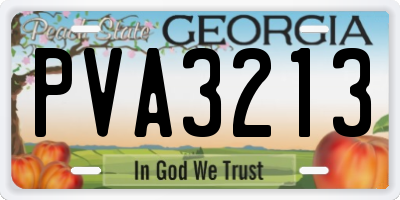 GA license plate PVA3213