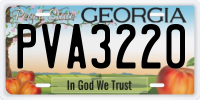 GA license plate PVA3220