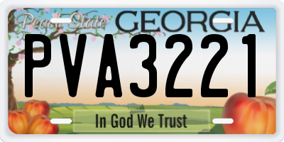 GA license plate PVA3221
