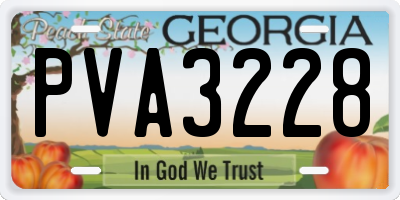 GA license plate PVA3228