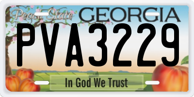 GA license plate PVA3229