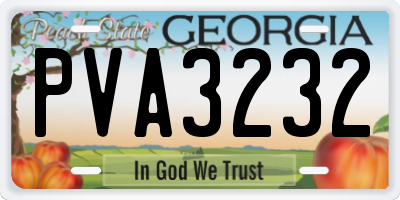 GA license plate PVA3232