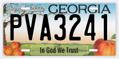 GA license plate PVA3241
