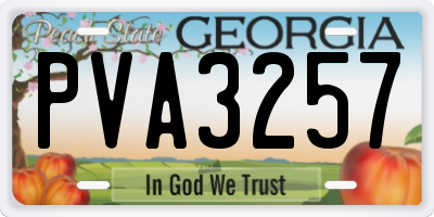 GA license plate PVA3257