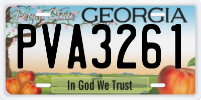 GA license plate PVA3261